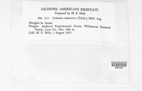 Image of Lobaria oregana
